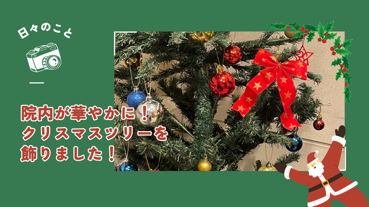 クリスマスツリーを飾りました！